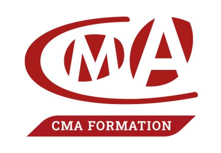 Formateur professionnel d'adultes